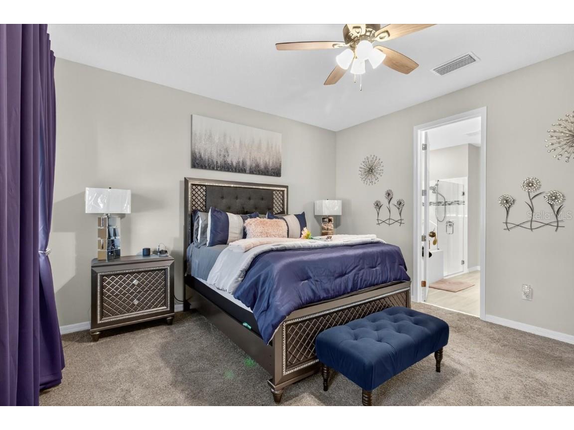 11823 Tetrafin Drive Riverview FL 33579 A4672903 image35