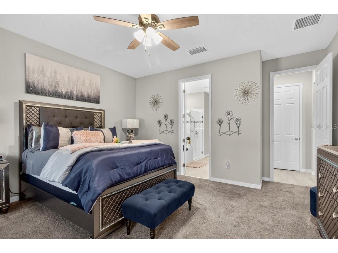 11823 Tetrafin Drive Riverview FL 33579 A4672903 image36