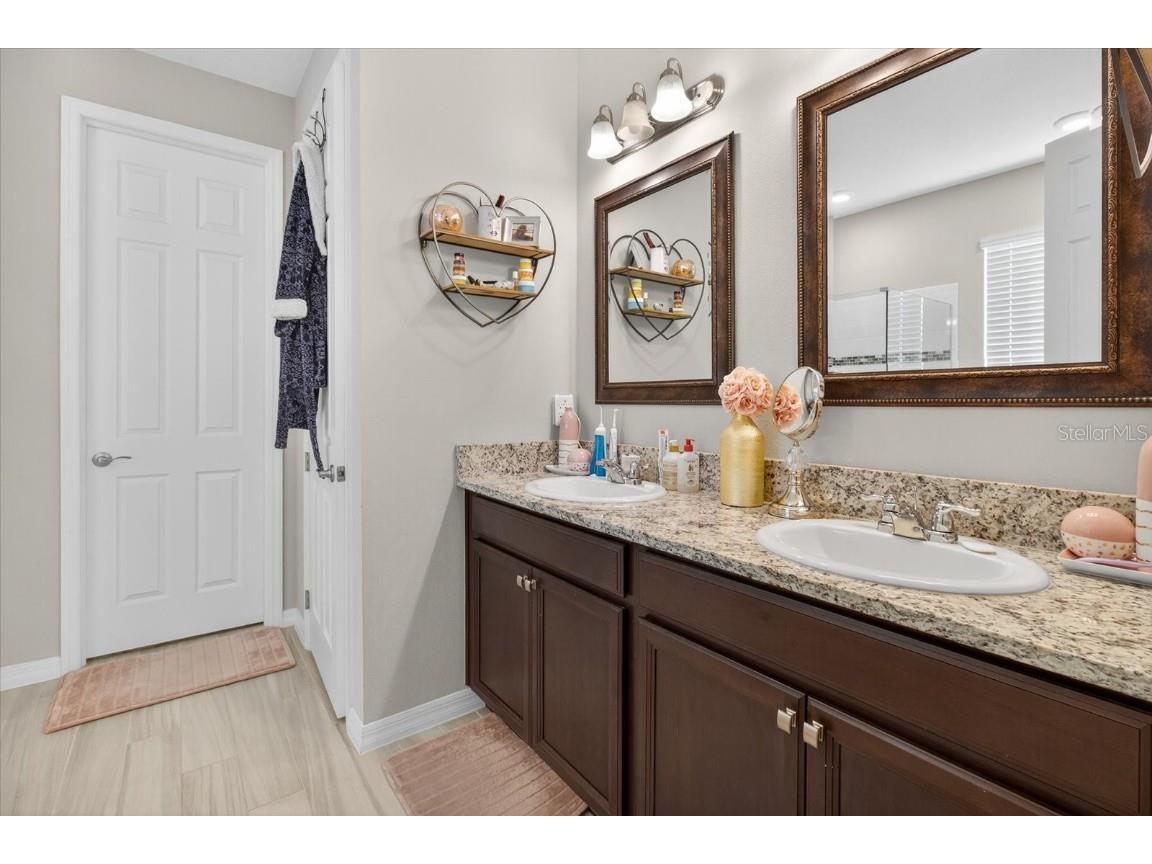 11823 Tetrafin Drive Riverview FL 33579 A4672903 image38