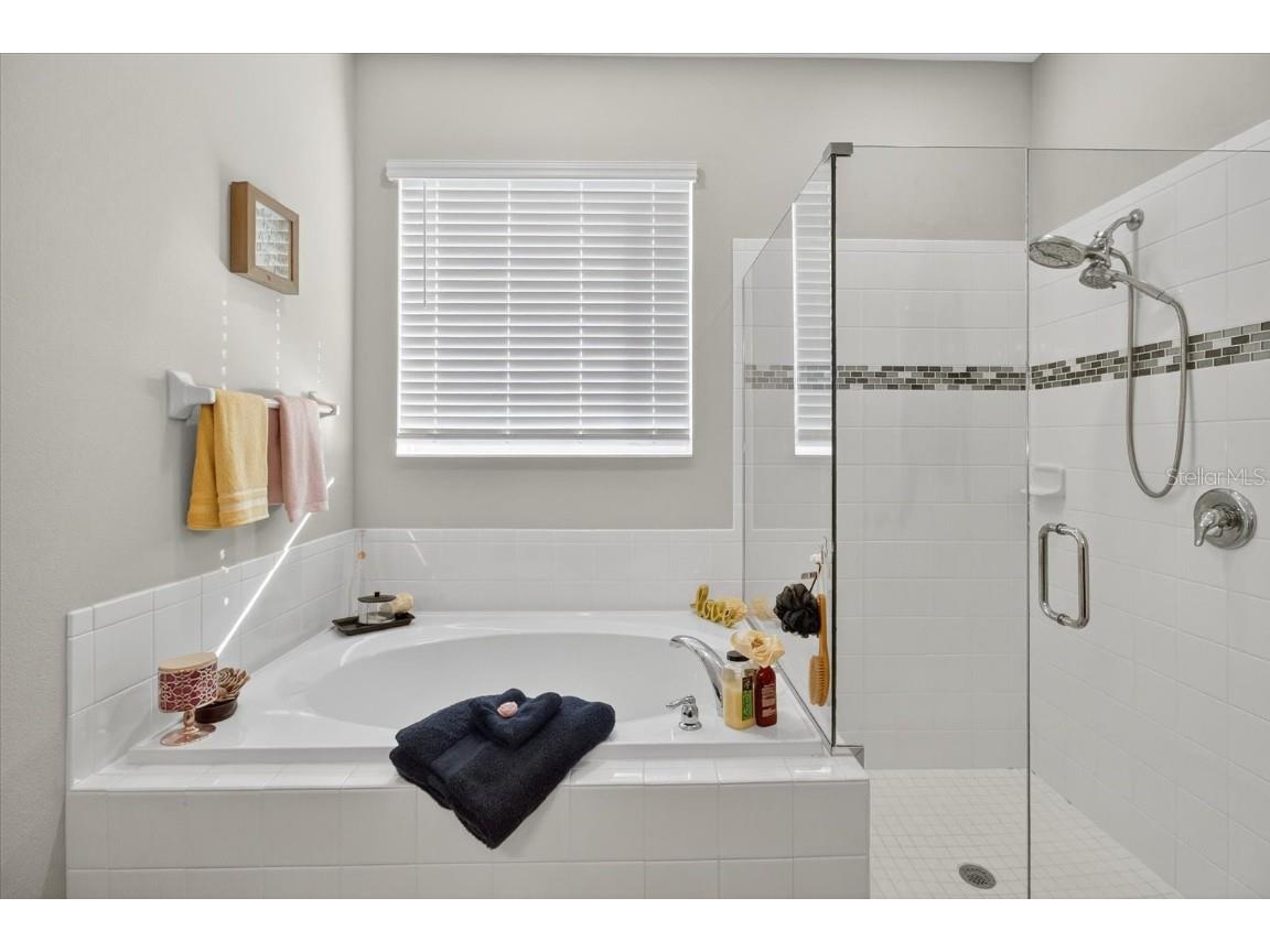 11823 Tetrafin Drive Riverview FL 33579 A4672903 image41