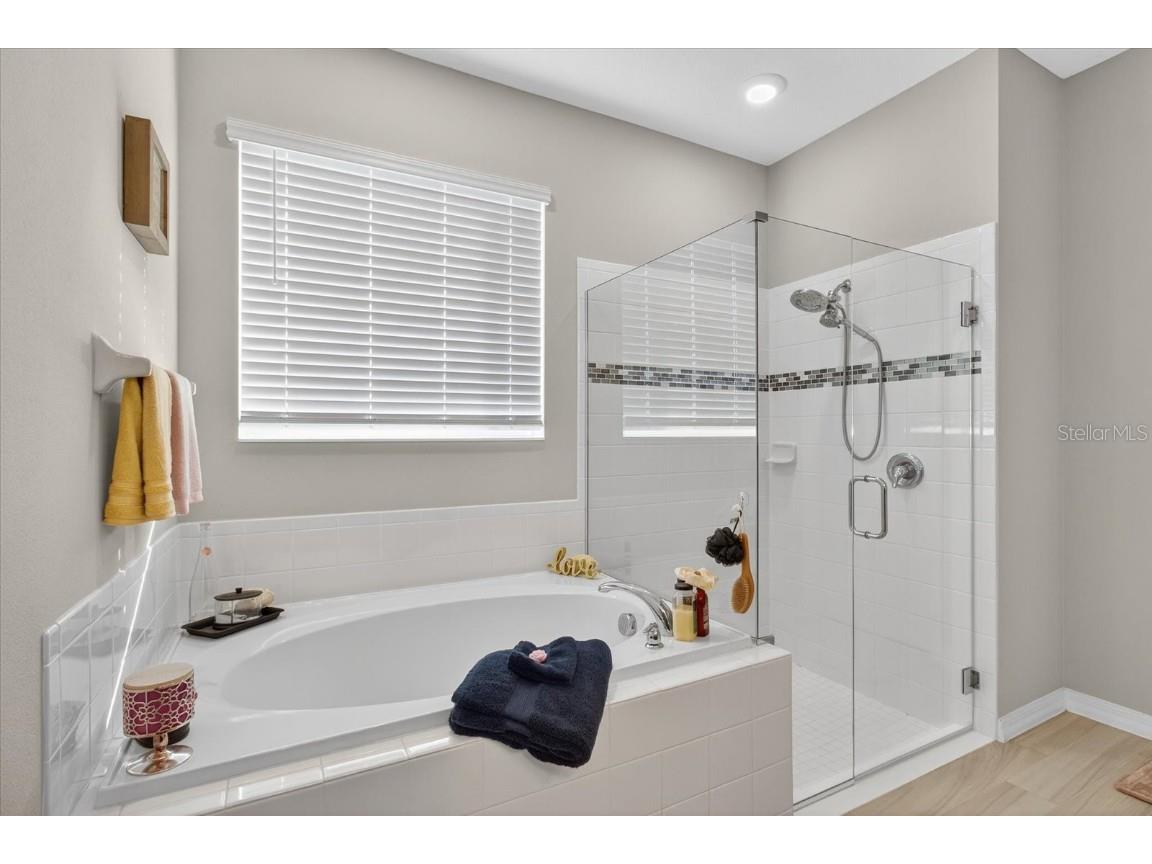 11823 Tetrafin Drive Riverview FL 33579 A4672903 image42