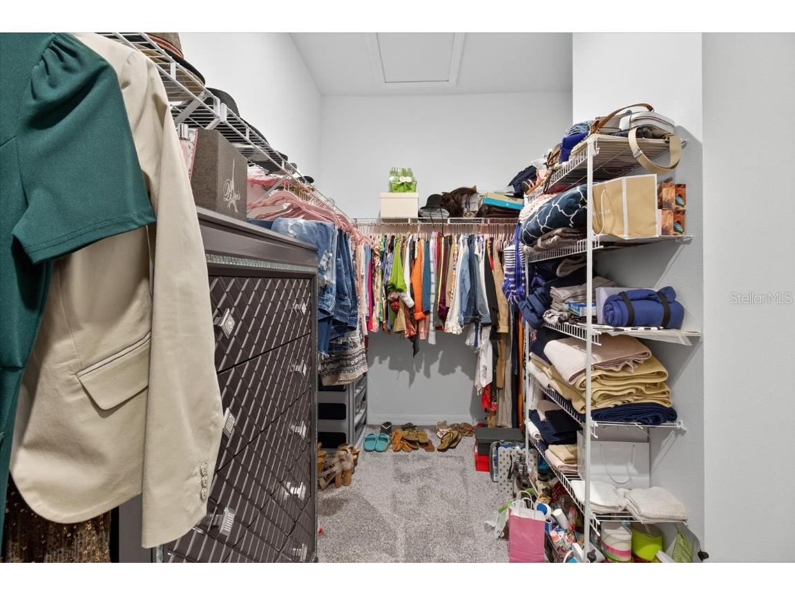 11823 Tetrafin Drive Riverview FL 33579 A4672903 image43