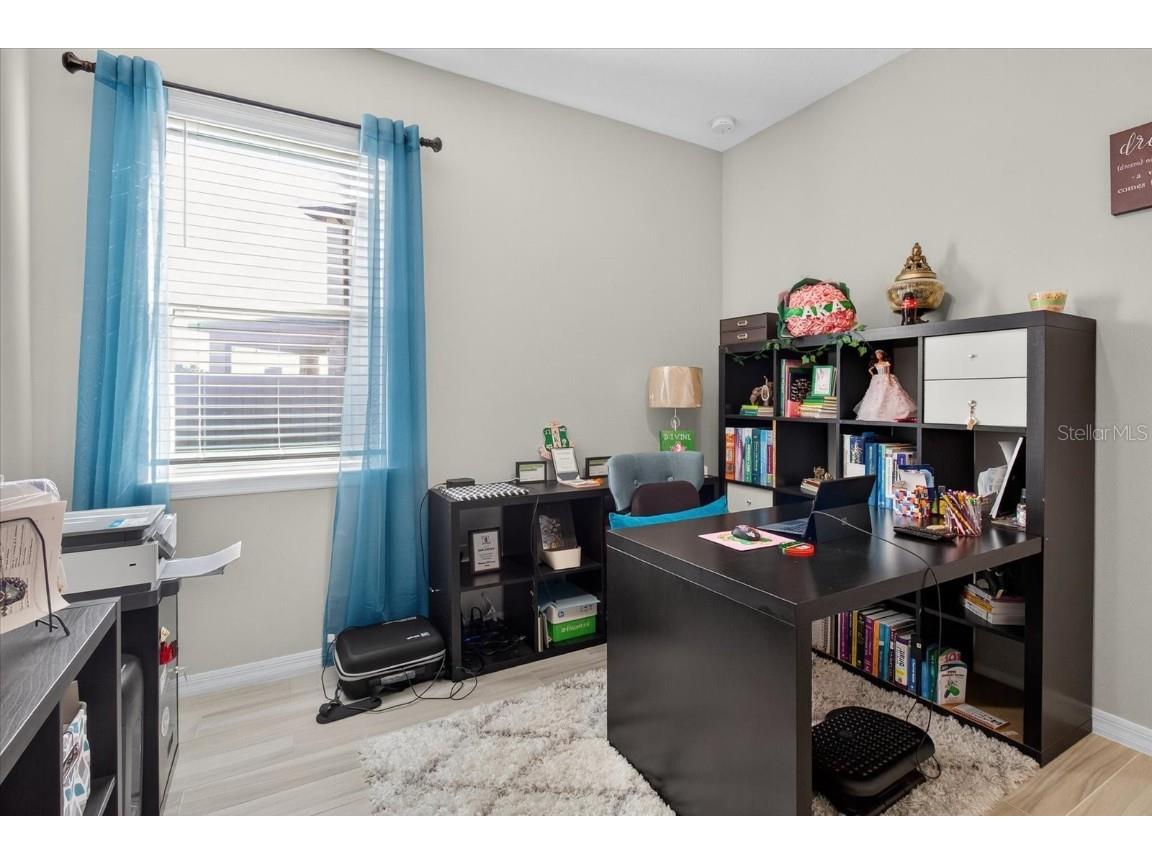 11823 Tetrafin Drive Riverview FL 33579 A4672903 image55