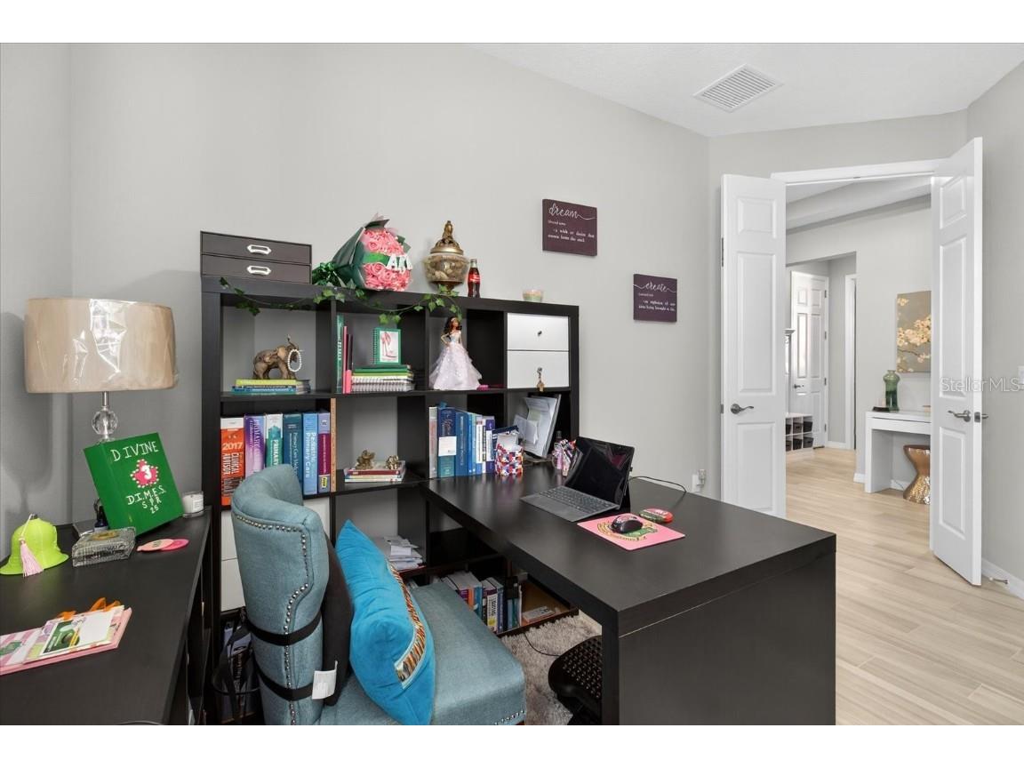 11823 Tetrafin Drive Riverview FL 33579 A4672903 image56