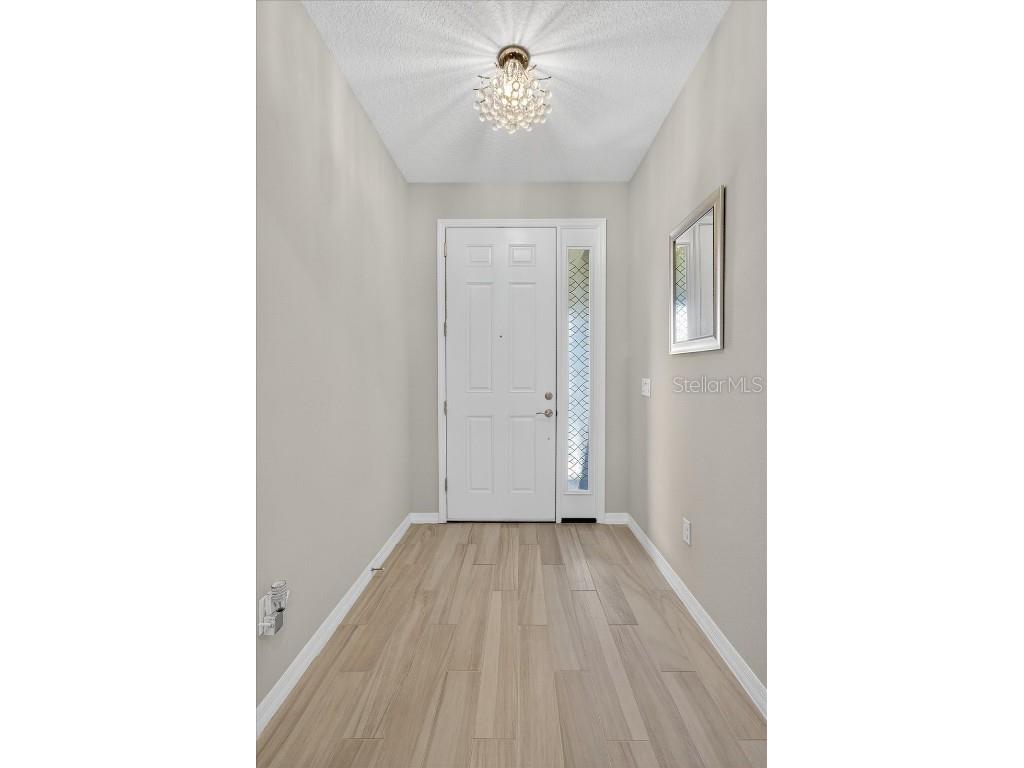 11823 Tetrafin Drive Riverview FL 33579 A4672903 image9