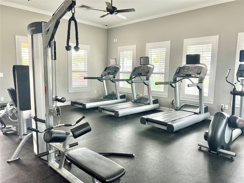 11826 Sky Acres Terrace Bradenton FL 34211 O6293952 image35