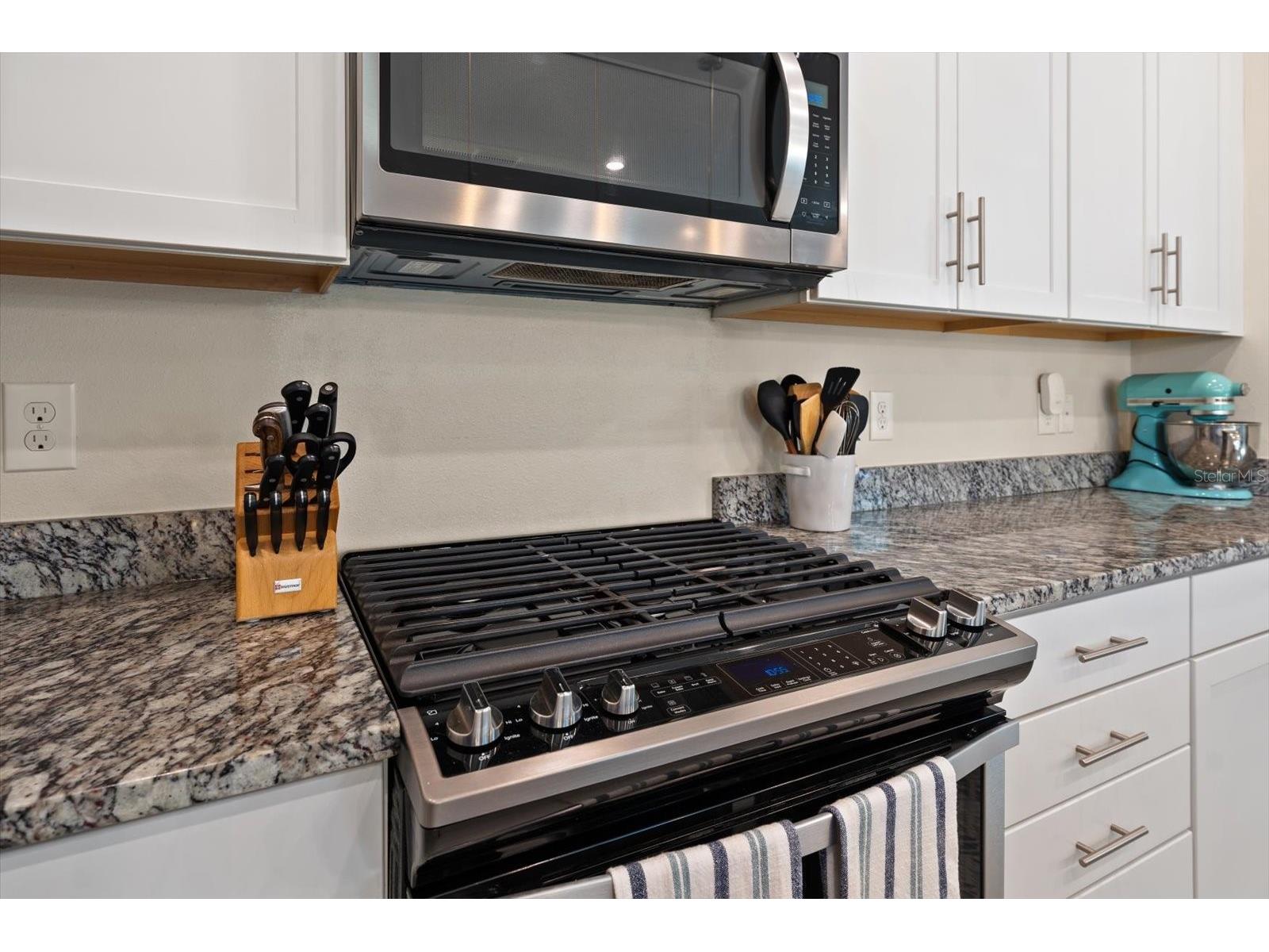 11827 Blamey Trail Odessa FL 33556 TB8493432 image12