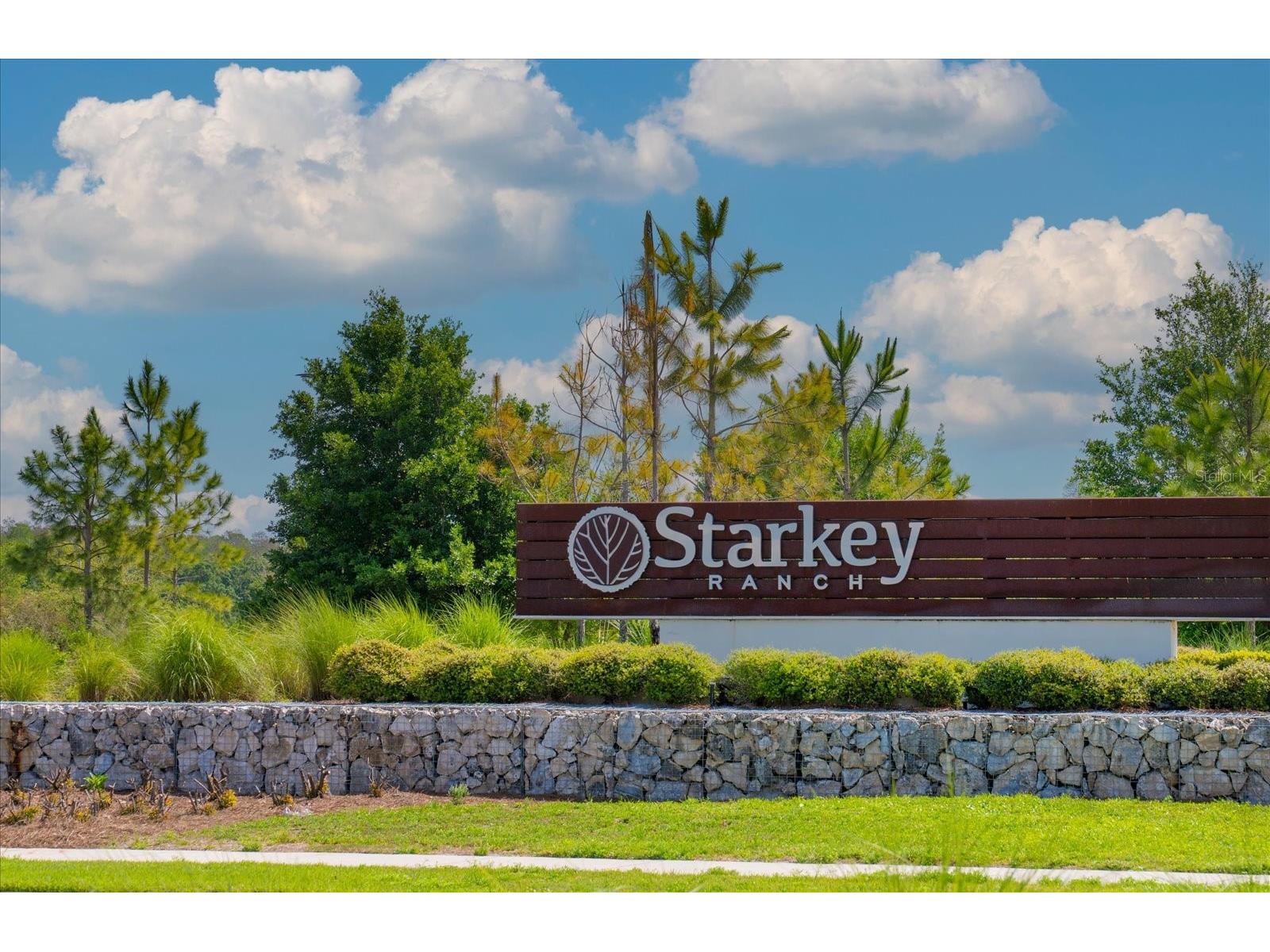 11827 Blamey Trail Odessa FL 33556 TB8493432 image56