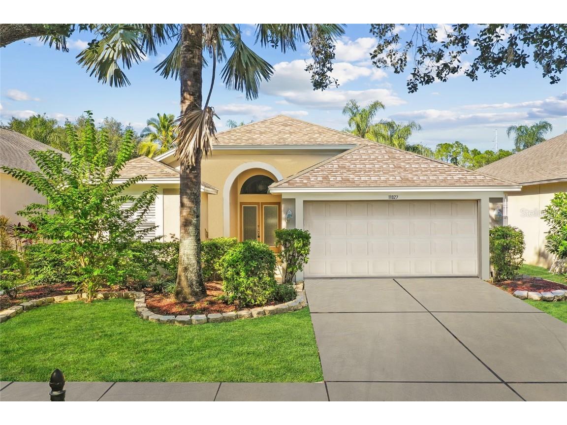 11827 Easthampton Drive Tampa FL 33626 T3484928 image1
