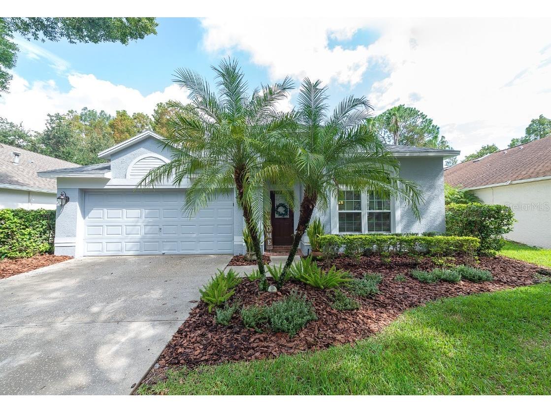 11827 Lancashire Drive Tampa FL 33626 TB8308982 image1