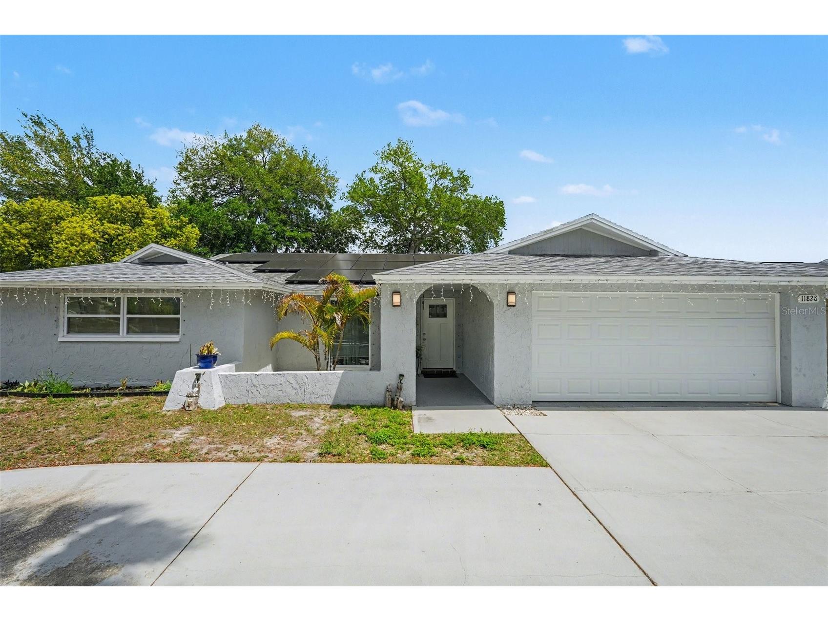 11828 Bingham Drive Port Richey FL 34668 W7884627 image2