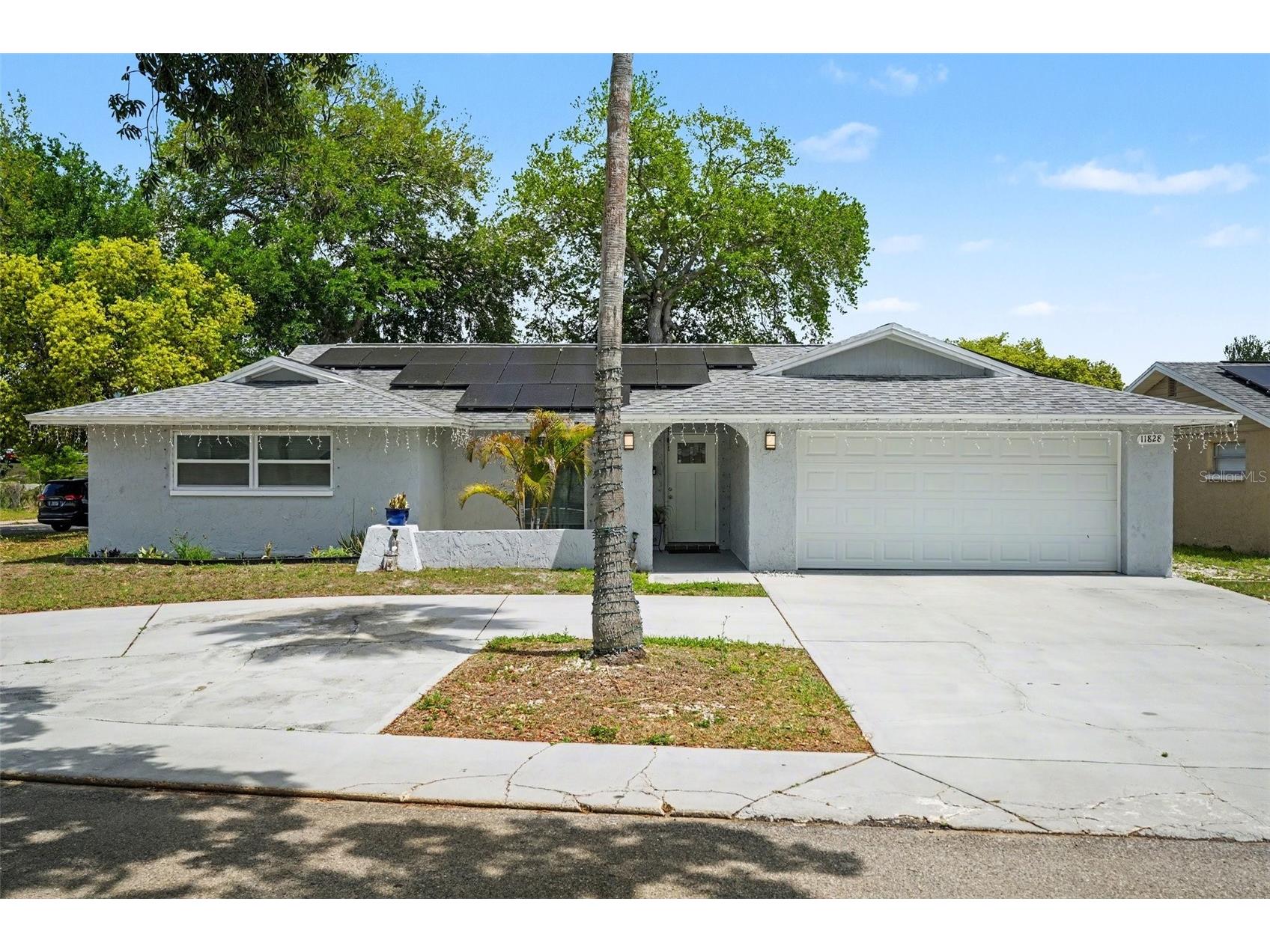 11828 Bingham Drive Port Richey FL 34668 W7884627 image4
