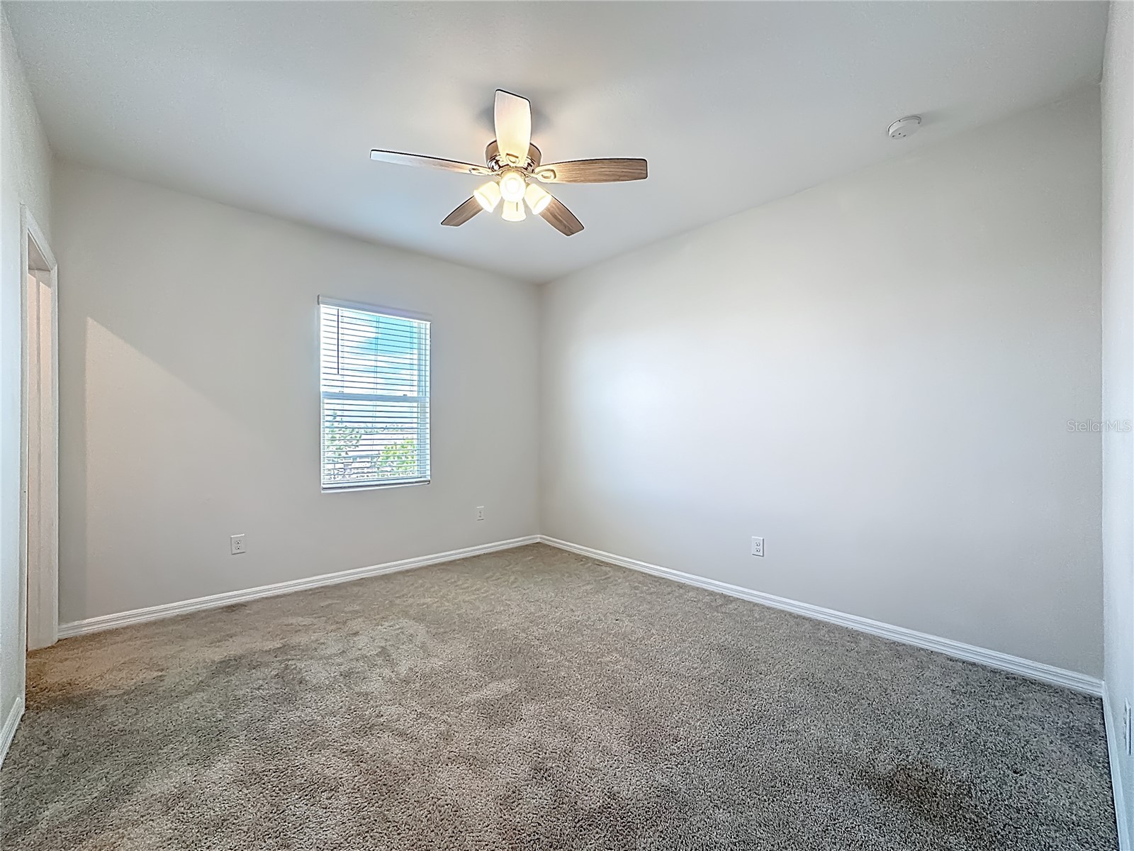 11828 Cara Field Avenue Riverview FL 33579 TB8487592 image19