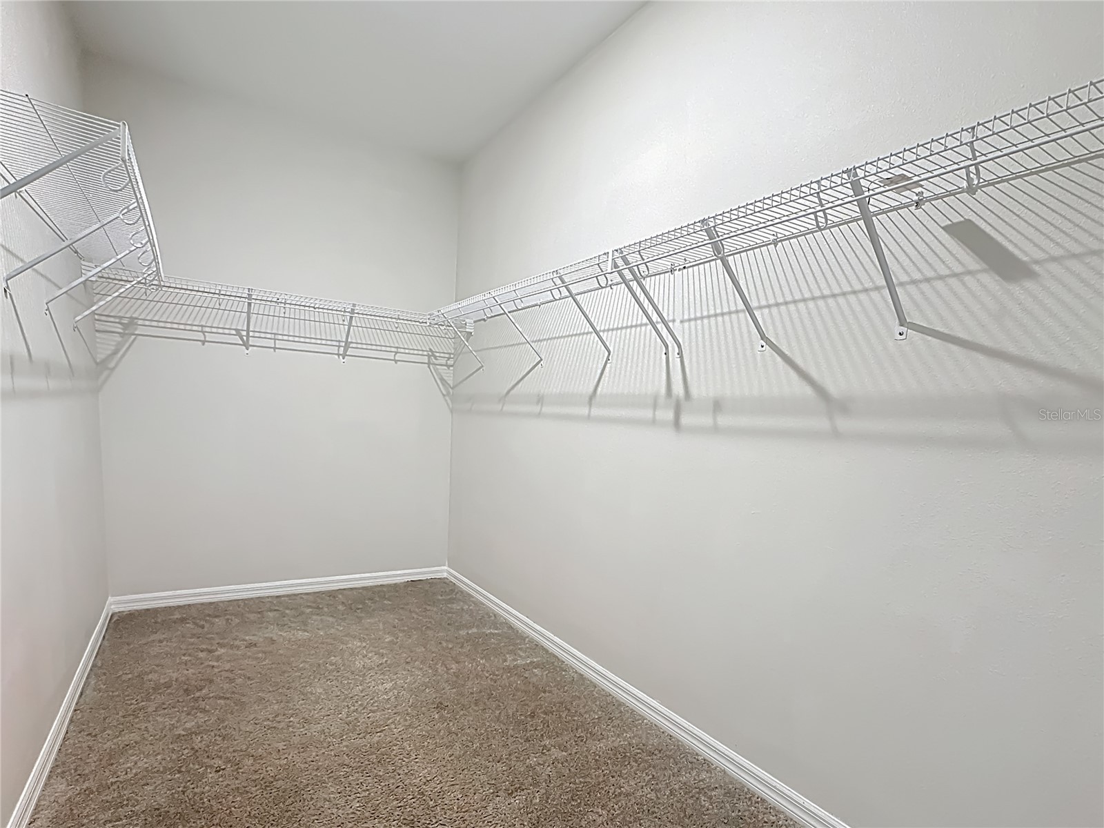 11828 Cara Field Avenue Riverview FL 33579 TB8487592 image37