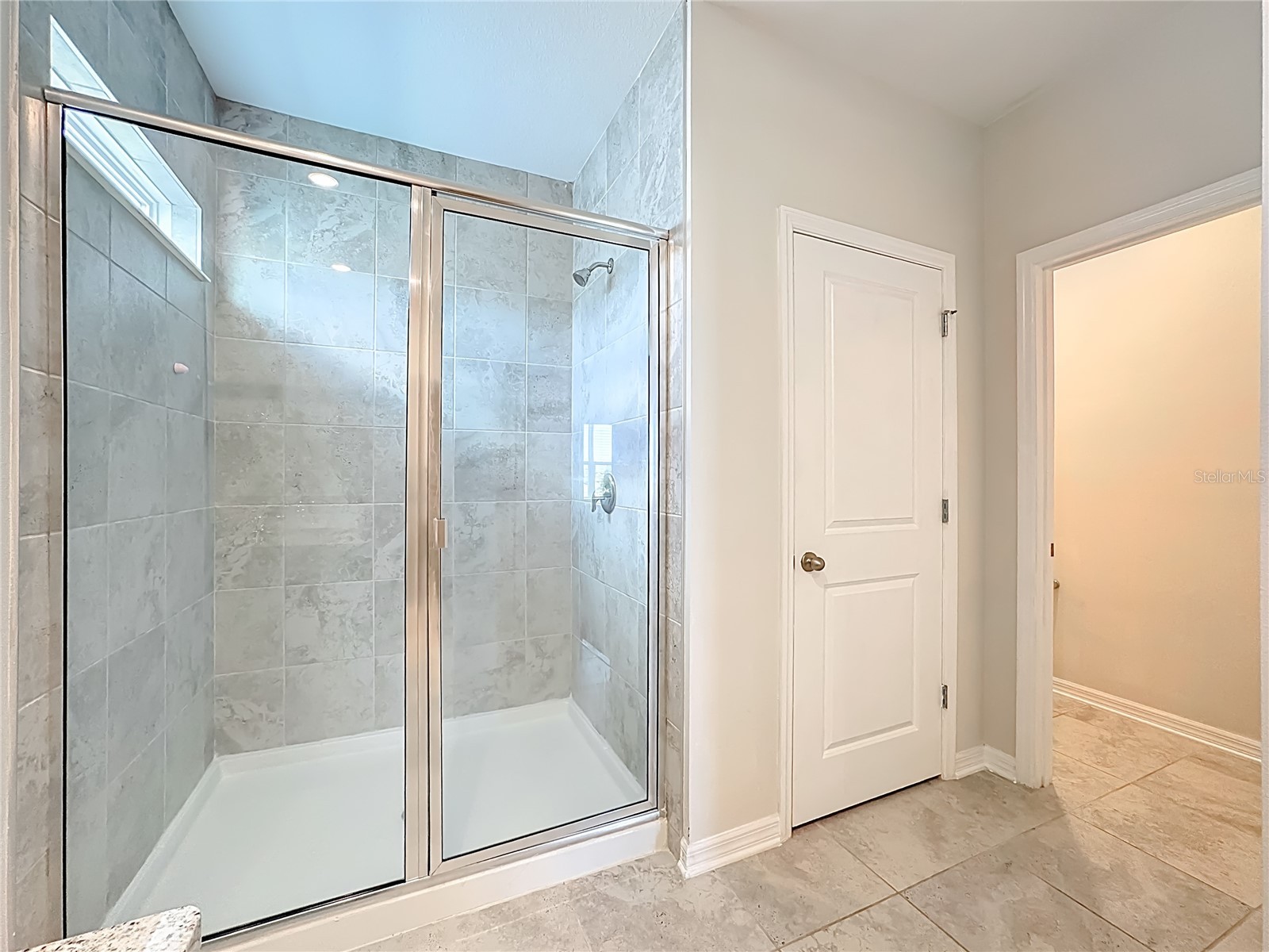11828 Cara Field Avenue Riverview FL 33579 TB8487592 image40