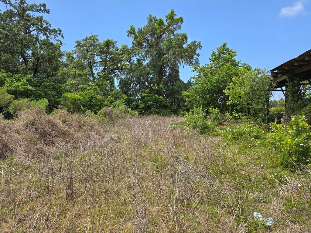 11828 County Road 105 Oxford FL 34484 OM700476 image14