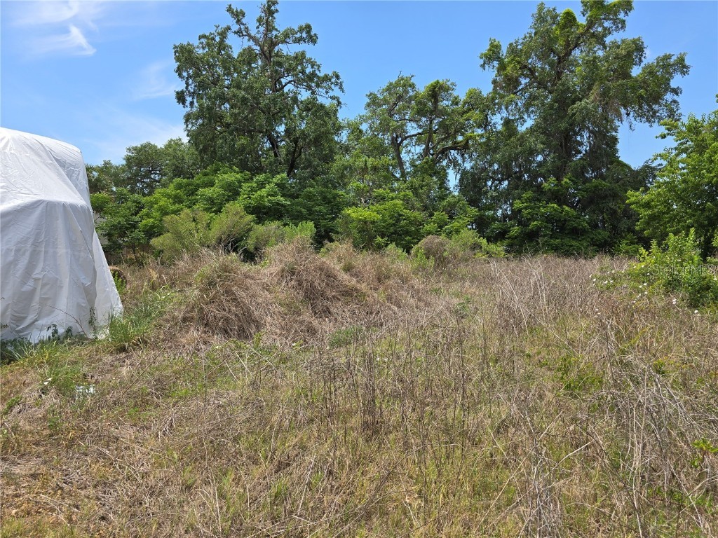 11828 County Road 105 Oxford FL 34484 OM700476 image15