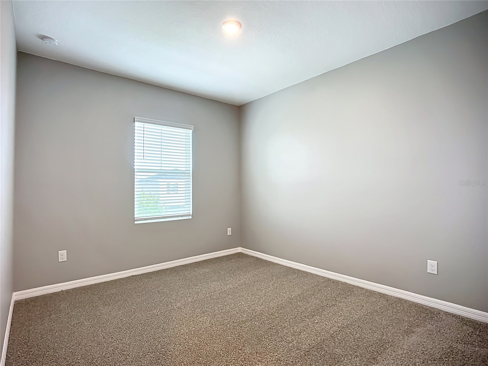 11829 Clare Hill Avenue Riverview FL 33579 TB8440261 image17