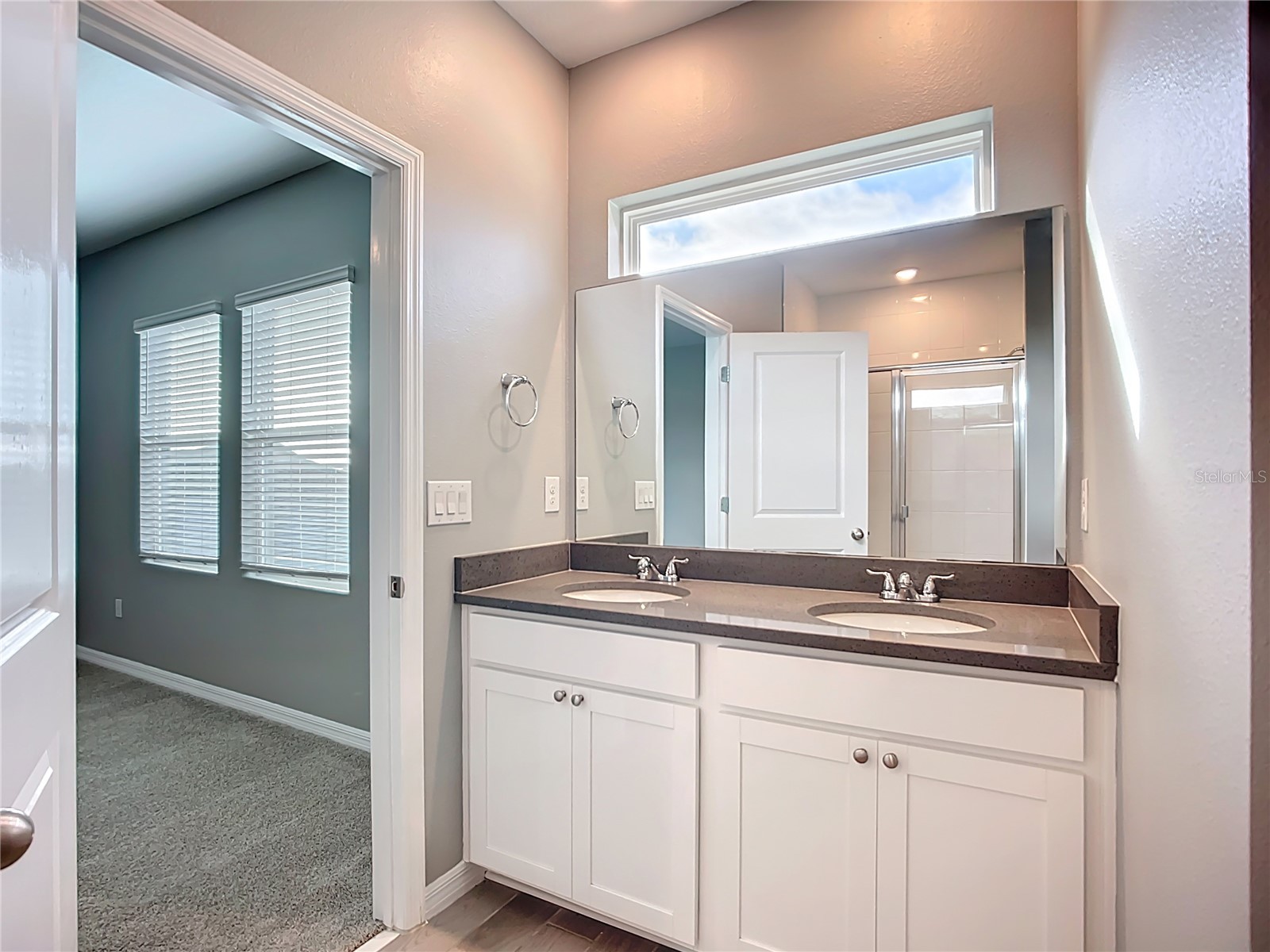 11829 Clare Hill Avenue Riverview FL 33579 TB8440261 image26