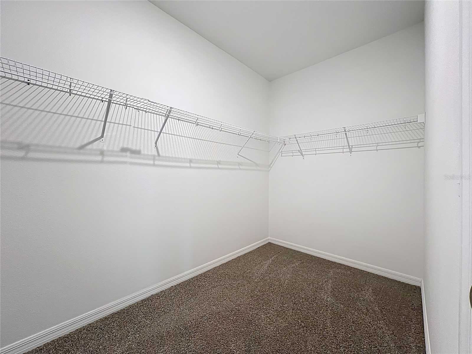 11829 Clare Hill Avenue Riverview FL 33579 TB8440261 image28