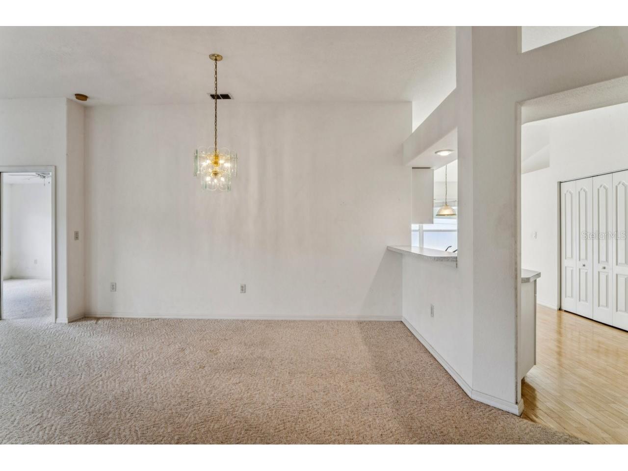 11829 Ivywood Place New Port Richey FL 34654 W7883215 image19