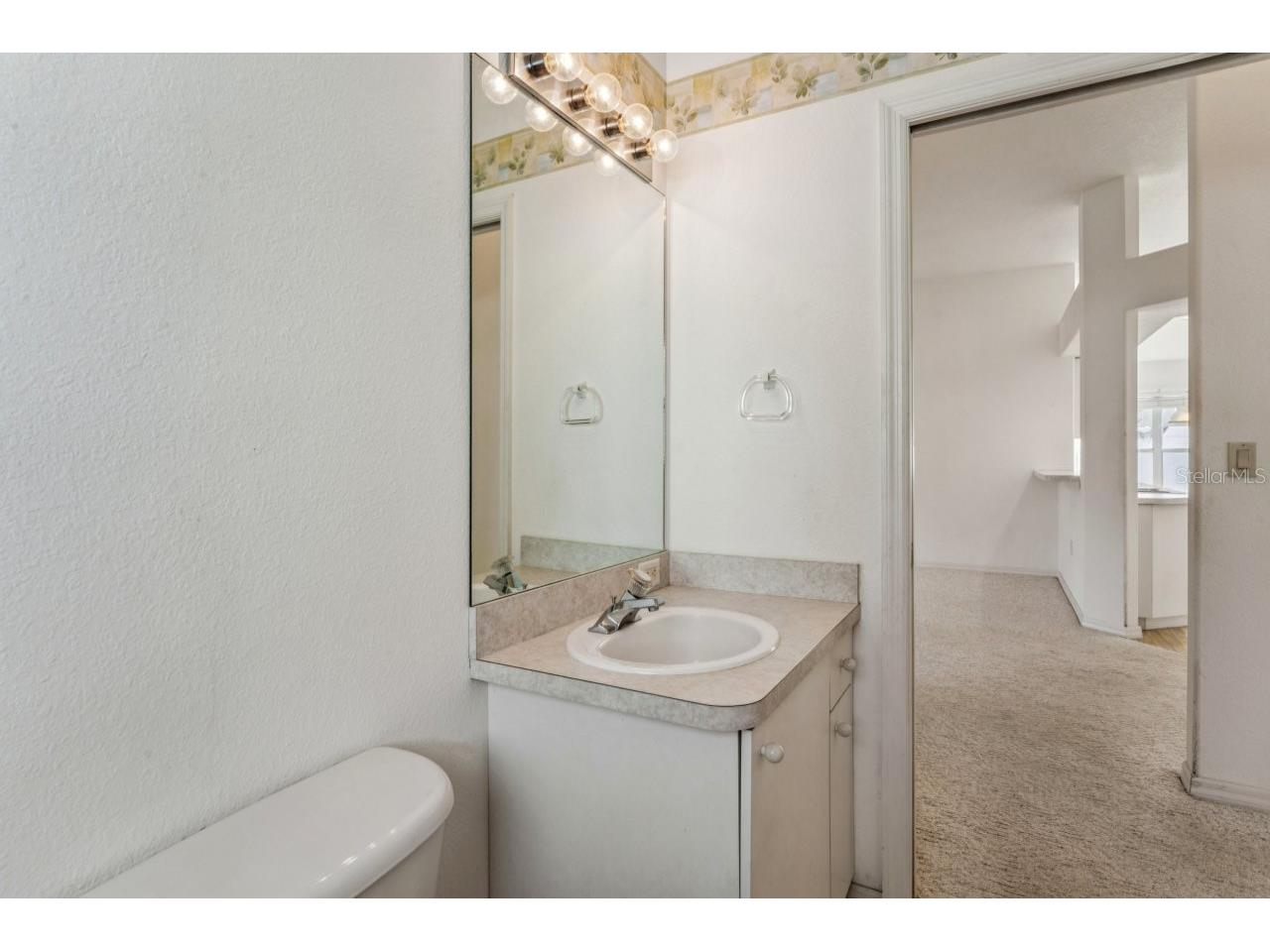 11829 Ivywood Place New Port Richey FL 34654 W7883215 image30