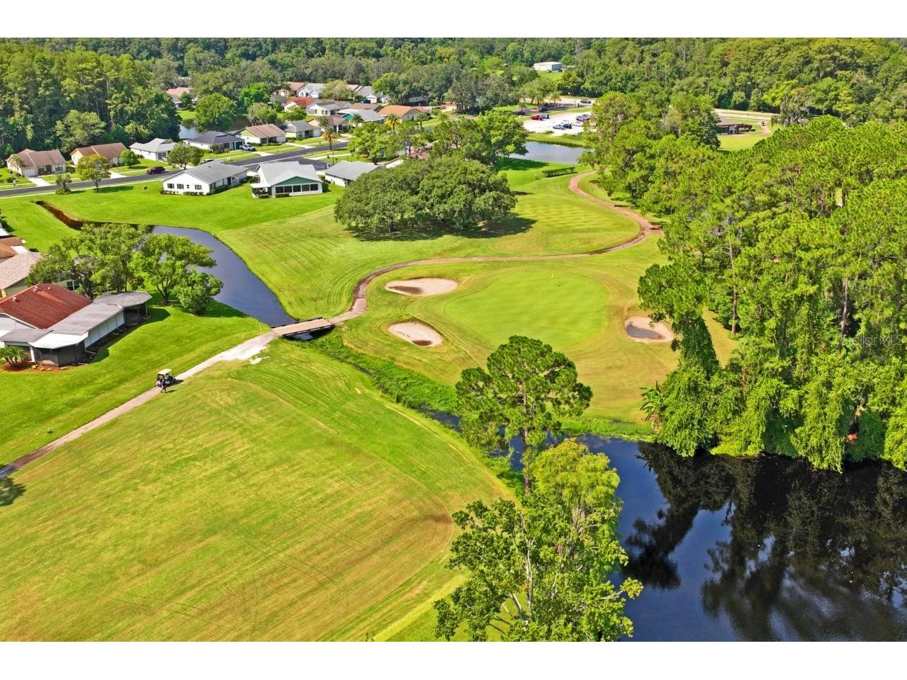 11829 Ivywood Place New Port Richey FL 34654 W7883215 image62