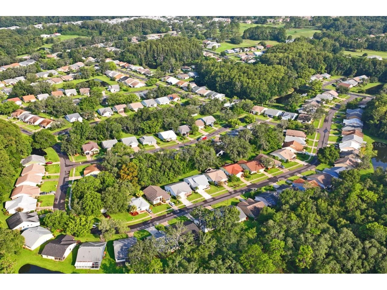 11829 Ivywood Place New Port Richey FL 34654 W7883215 image63