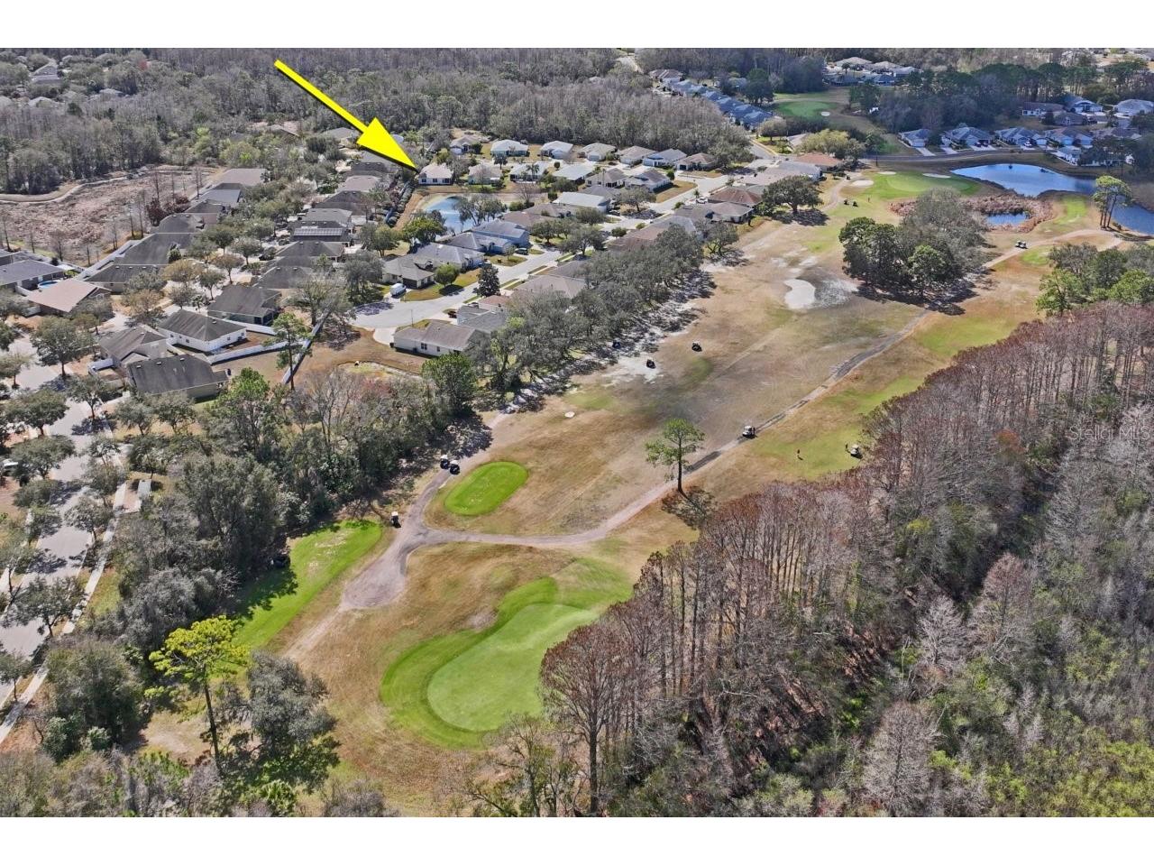 11829 Ivywood Place New Port Richey FL 34654 W7883215 image69