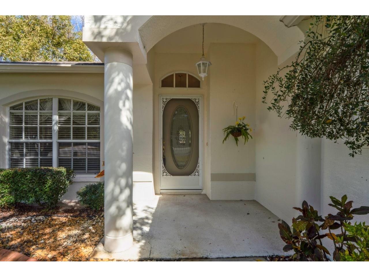 11829 Ivywood Place New Port Richey FL 34654 W7883215 image9