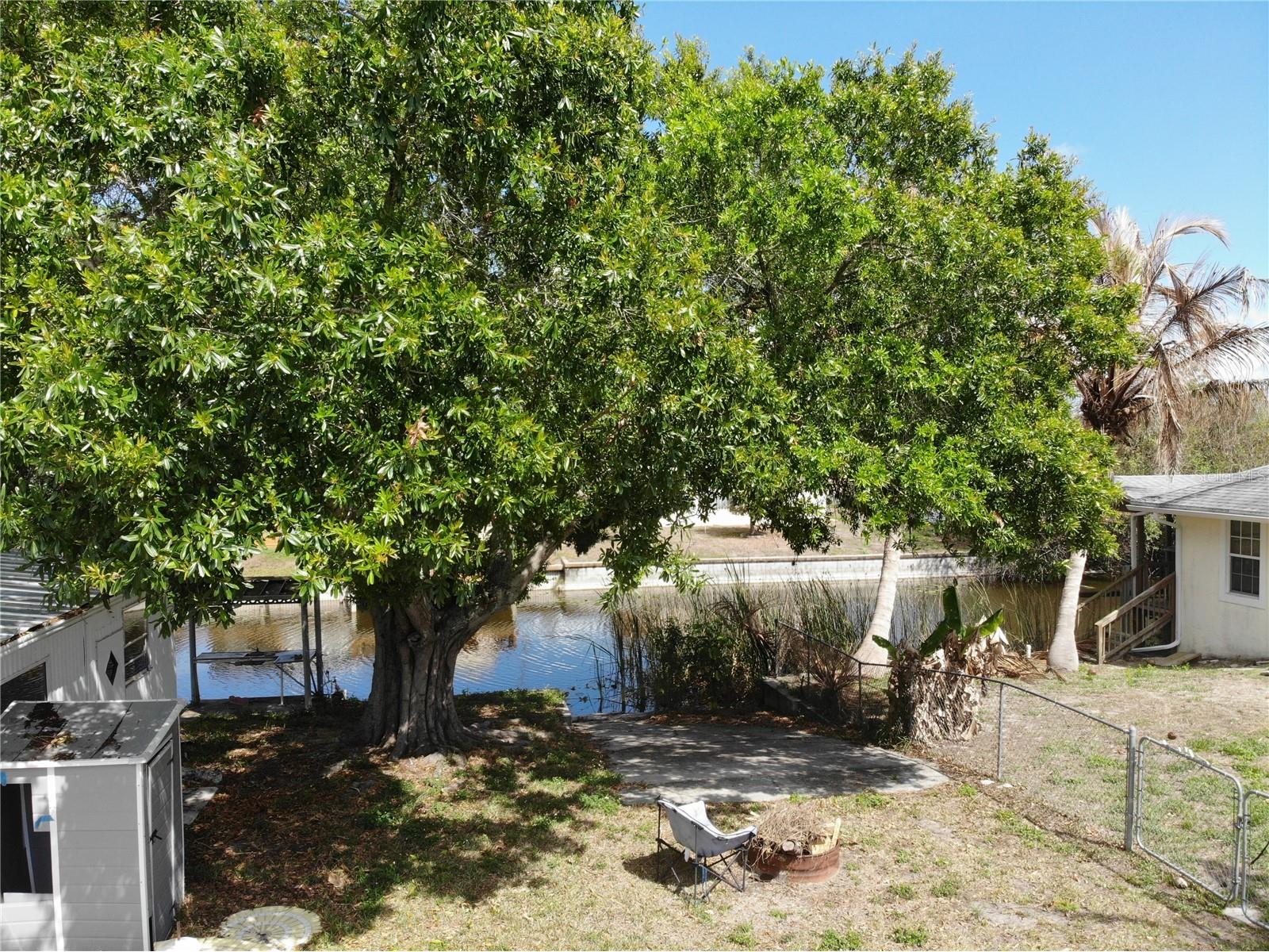 1183 9th Street Okeechobee FL 34974 - LAKE OKEECHOBEE O6392605 image11
