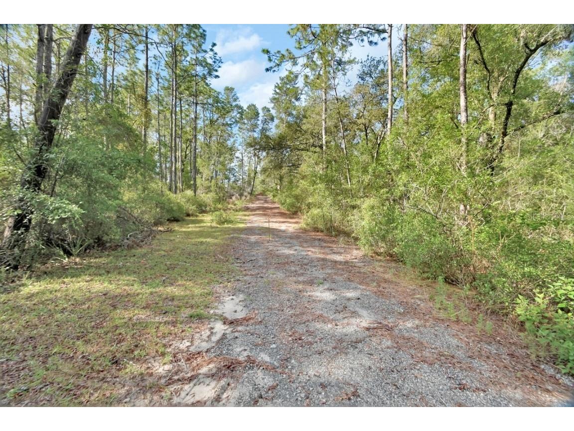 1183 Antilla Street Lake Helen FL 32744 V4942739 image1