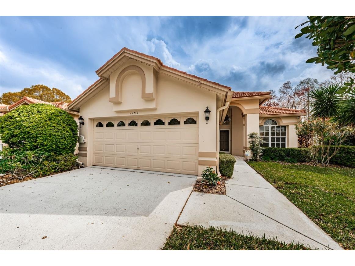 1183 Dartford Drive Tarpon Springs FL 34688 U8234411 image1