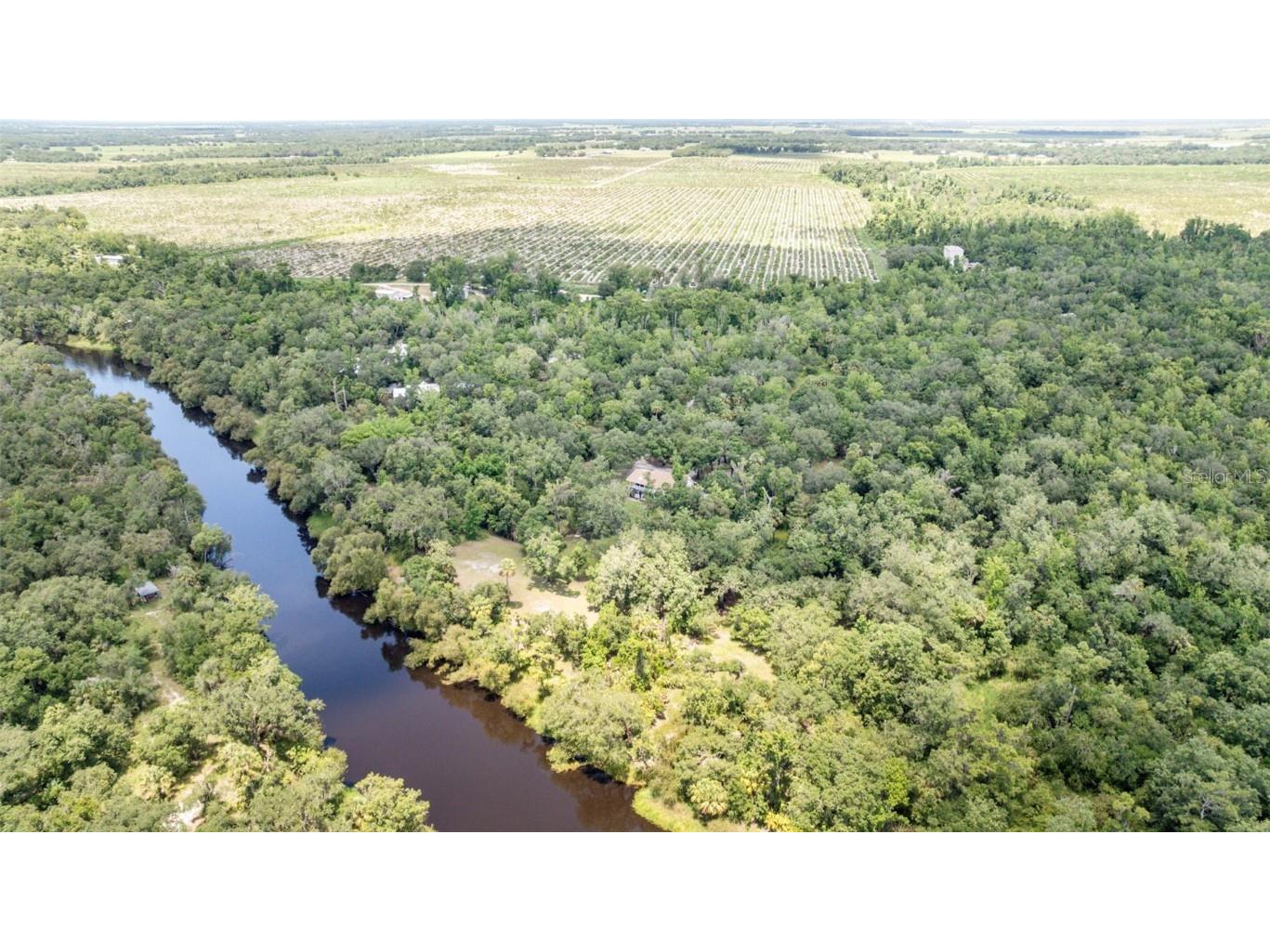 1183 NW Girl Scout Road Arcadia FL 34266 - PEACE RIVER C7511769 image41