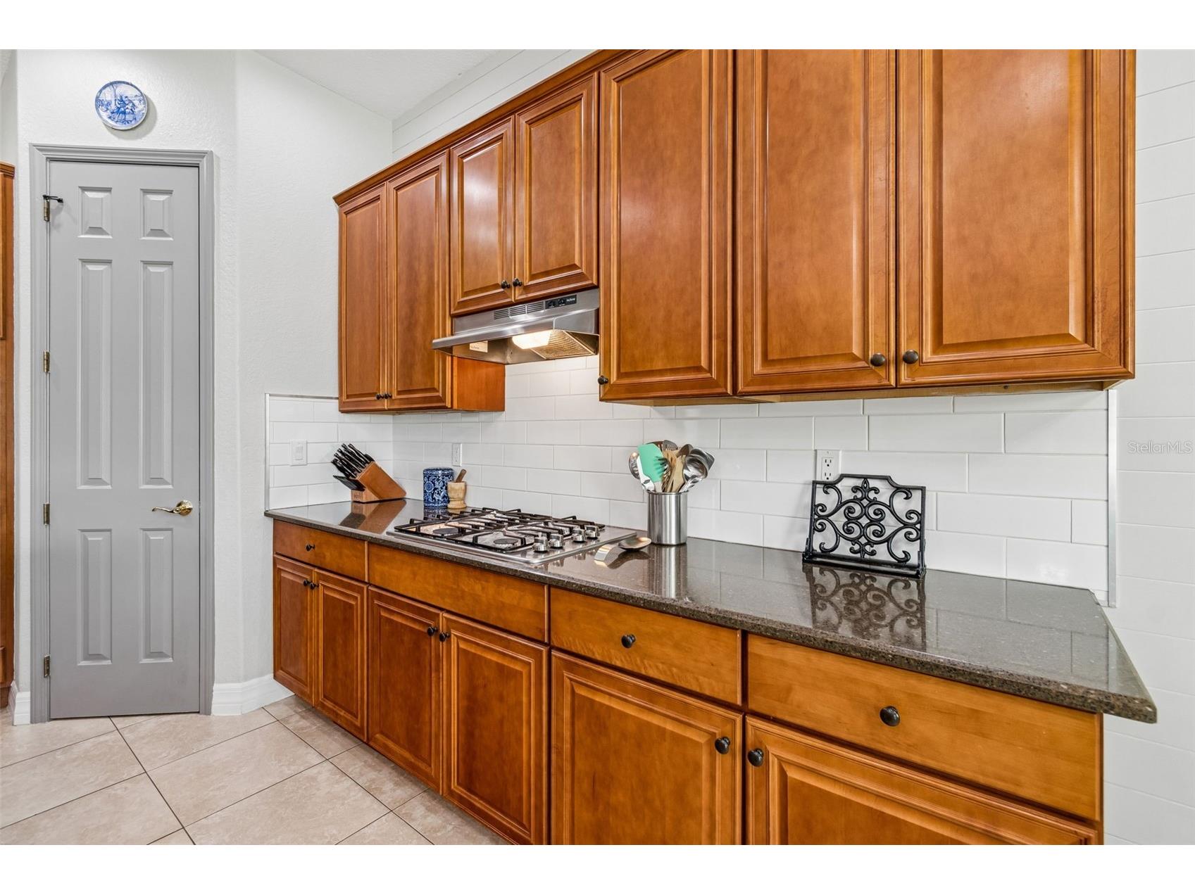 11830 Newberry Grove Loop Riverview FL 33579 TB8493592 image16