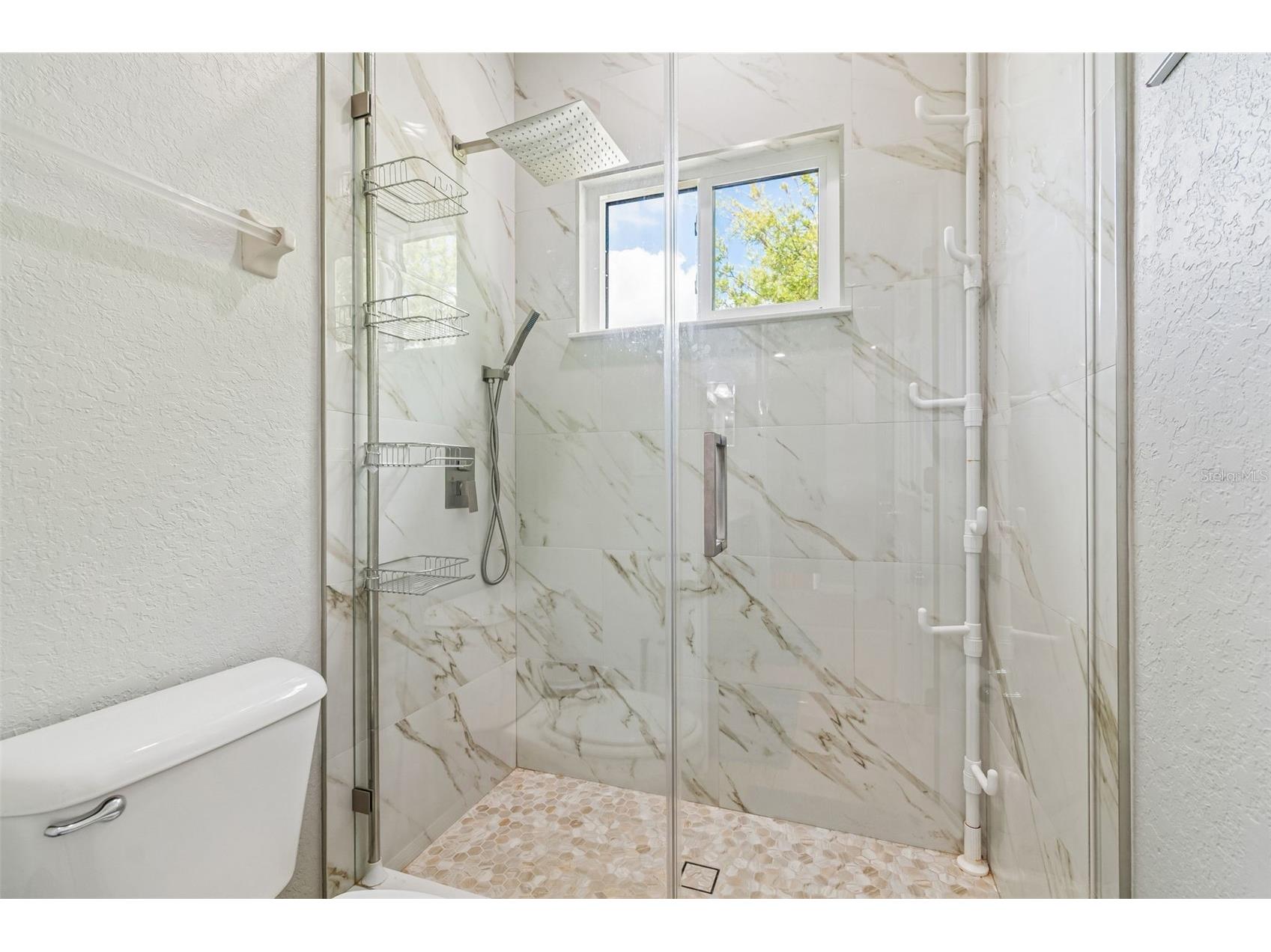 11830 Newberry Grove Loop Riverview FL 33579 TB8493592 image27