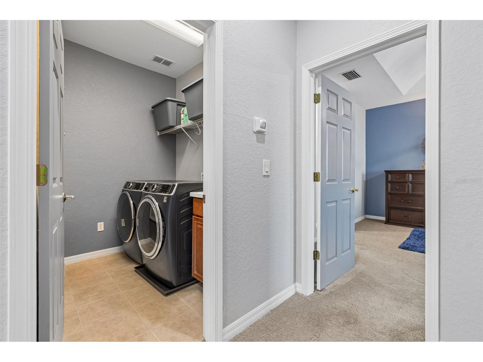 11830 Newberry Grove Loop Riverview FL 33579 TB8493592 image33