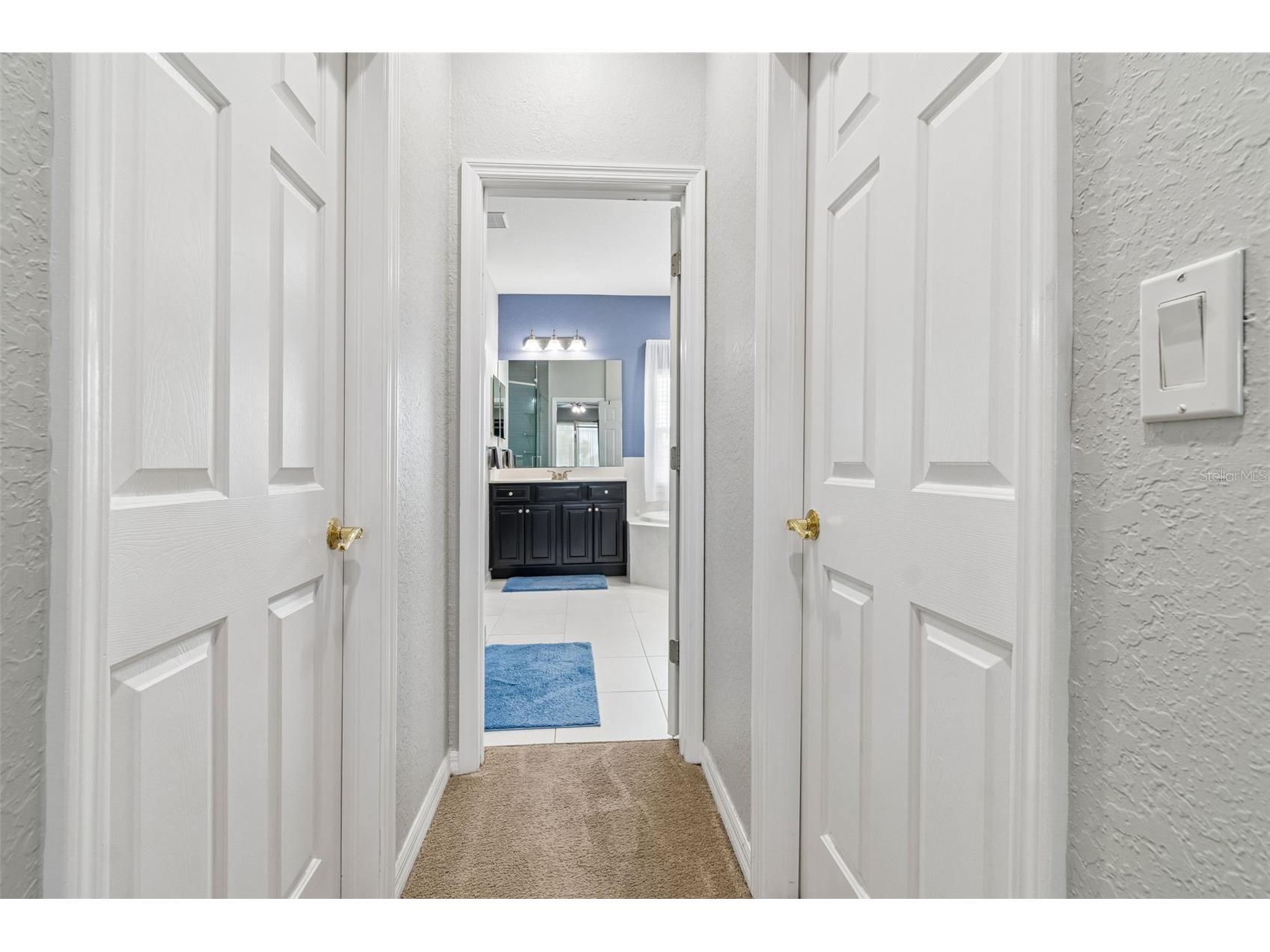 11830 Newberry Grove Loop Riverview FL 33579 TB8493592 image39