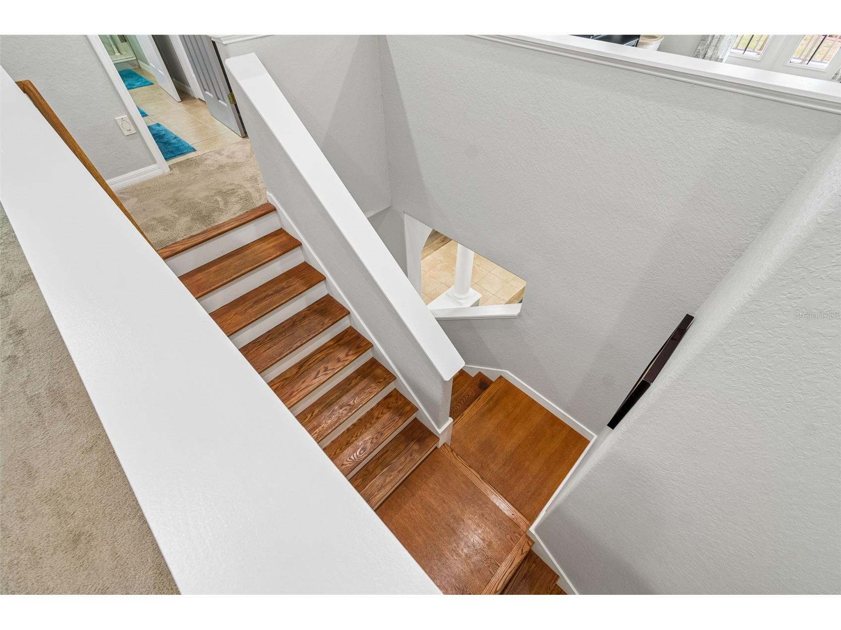 11830 Newberry Grove Loop Riverview FL 33579 TB8493592 image44