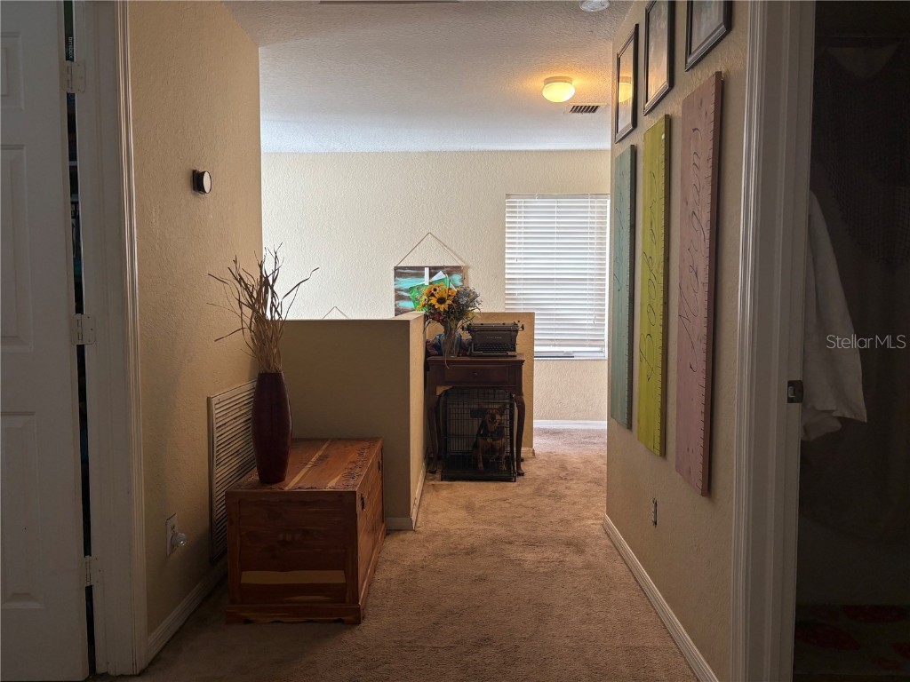 11831 Whisper Creek Drive Riverview FL 33569 TB8447692 image14