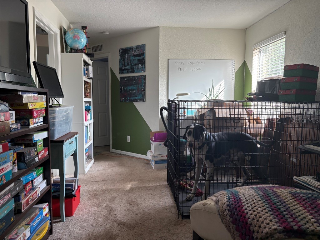 11831 Whisper Creek Drive Riverview FL 33569 TB8447692 image19