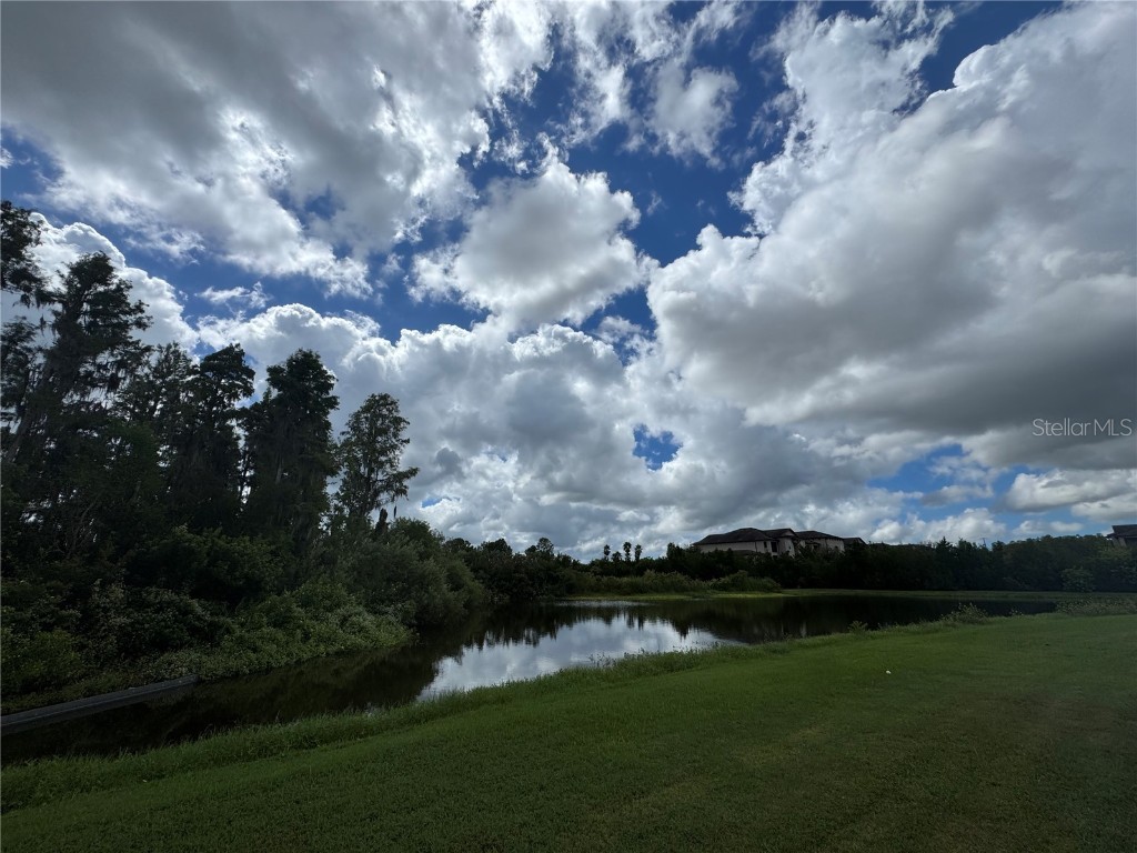 11832 Lake Boulevard New Port Richey FL 34655 TB8433000 image47