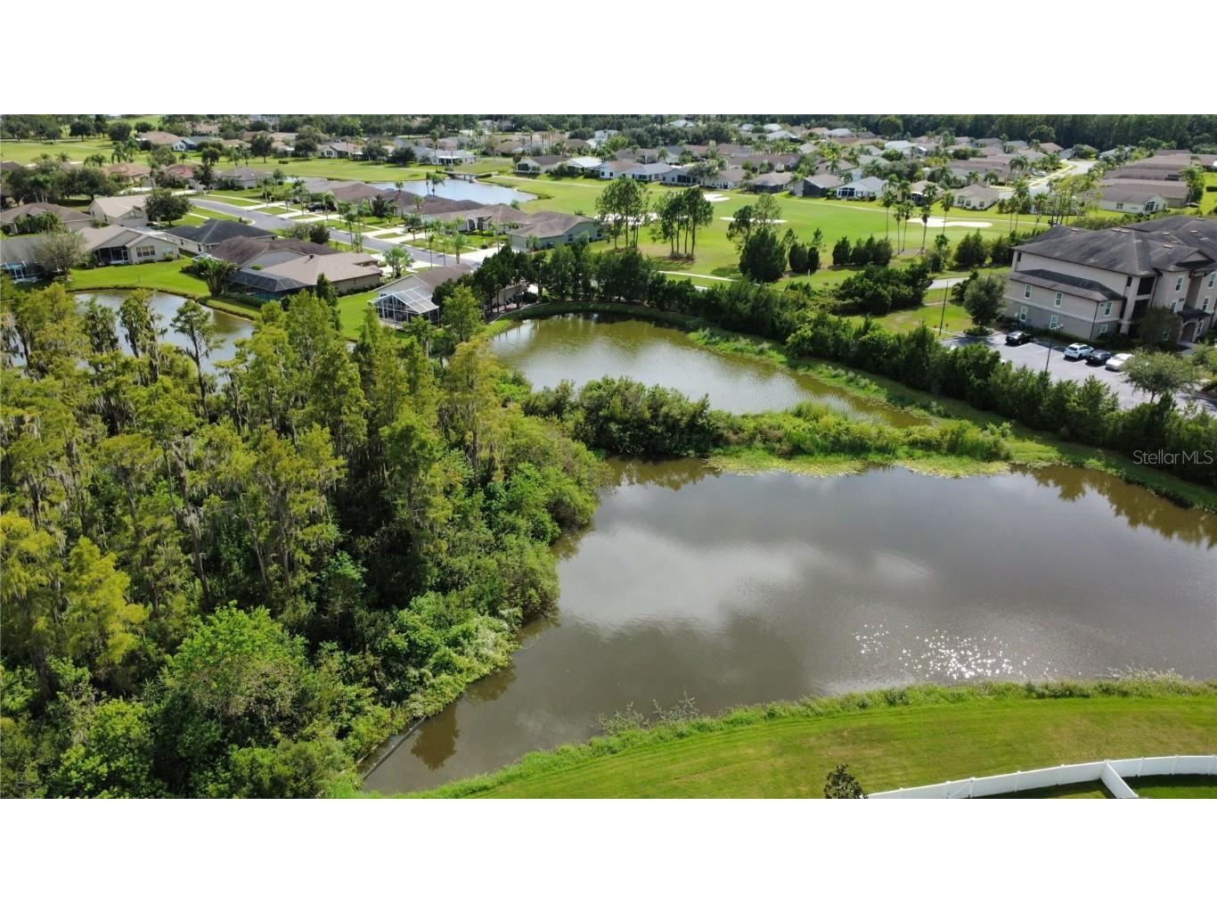 11832 Lake Boulevard New Port Richey FL 34655 TB8433000 image51