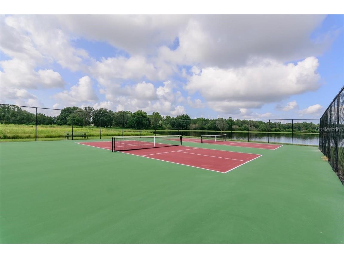 11832 Lake Boulevard New Port Richey FL 34655 TB8433000 image56