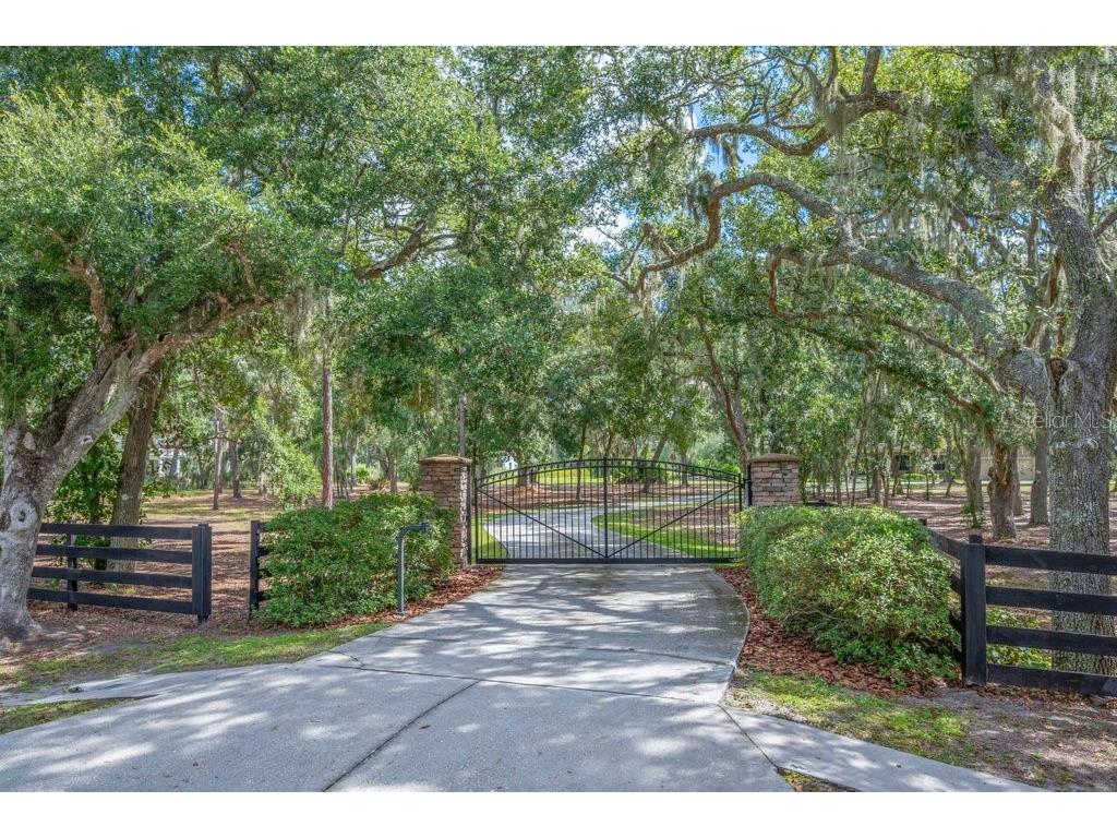 11832 Neal Road Lithia FL 33547 TB8477213 image1