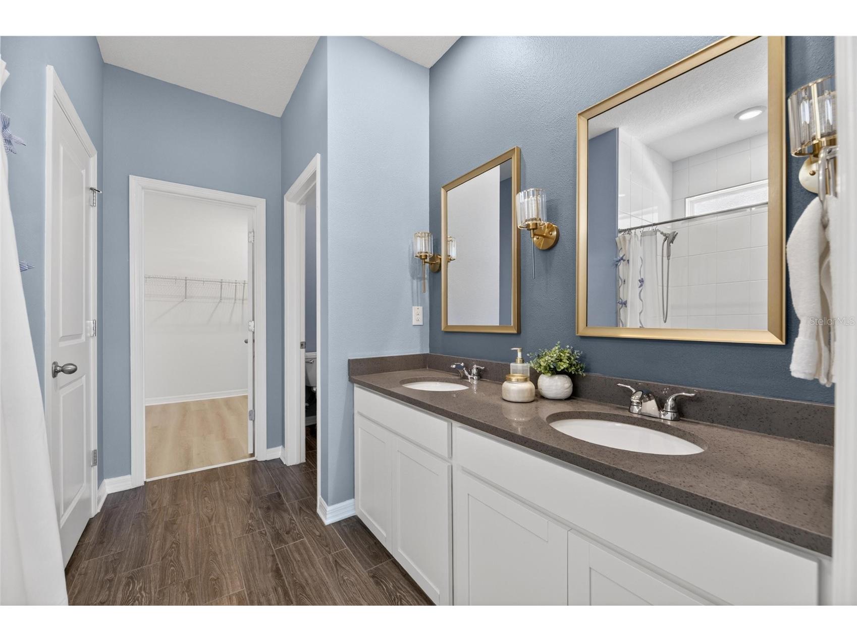 11833 Cara Field Avenue Riverview FL 33579 TB8504279 image32