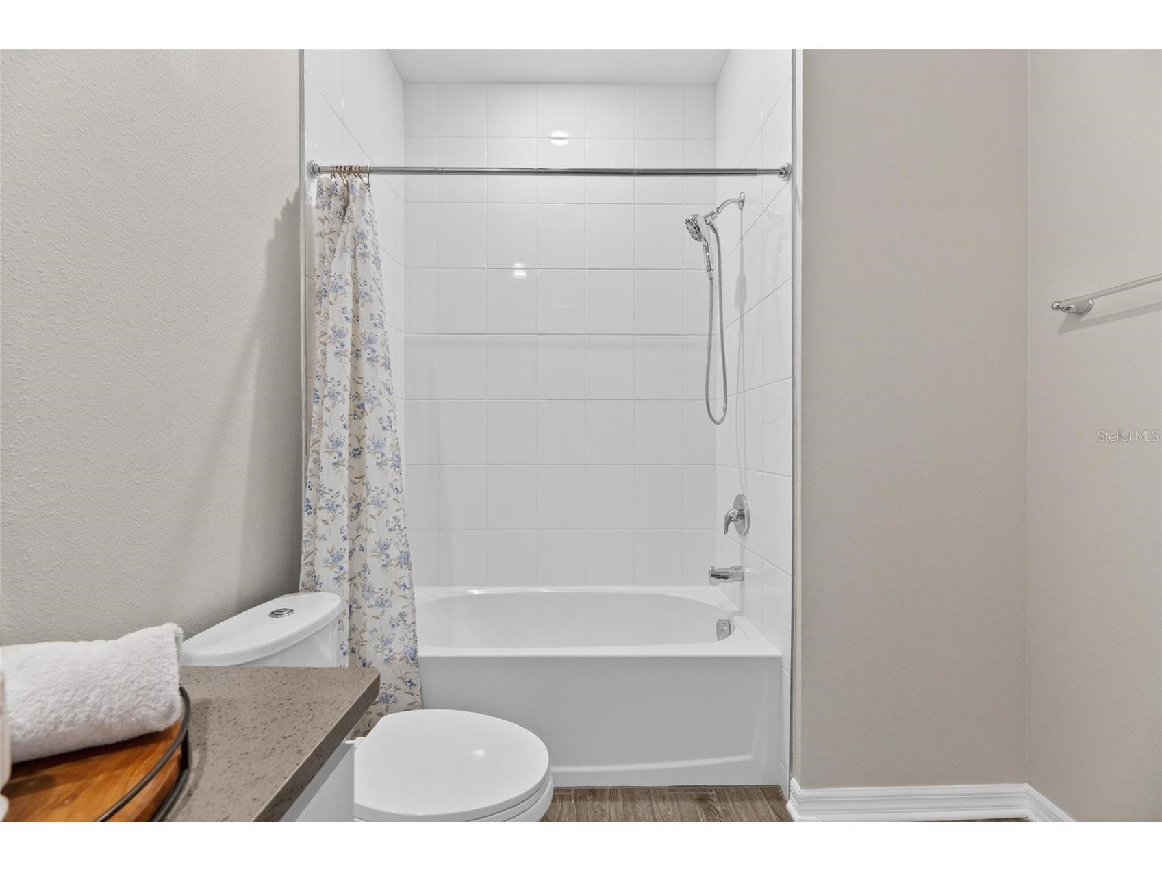 11833 Cara Field Avenue Riverview FL 33579 TB8504279 image41