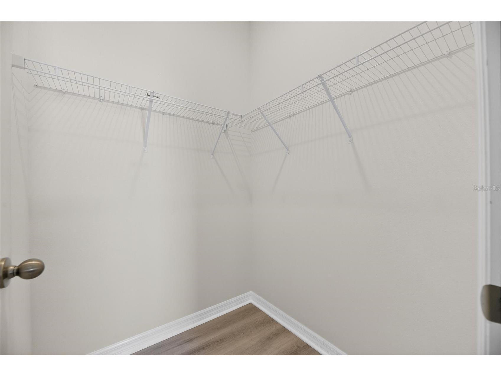 11833 Cara Field Avenue Riverview FL 33579 TB8504279 image50