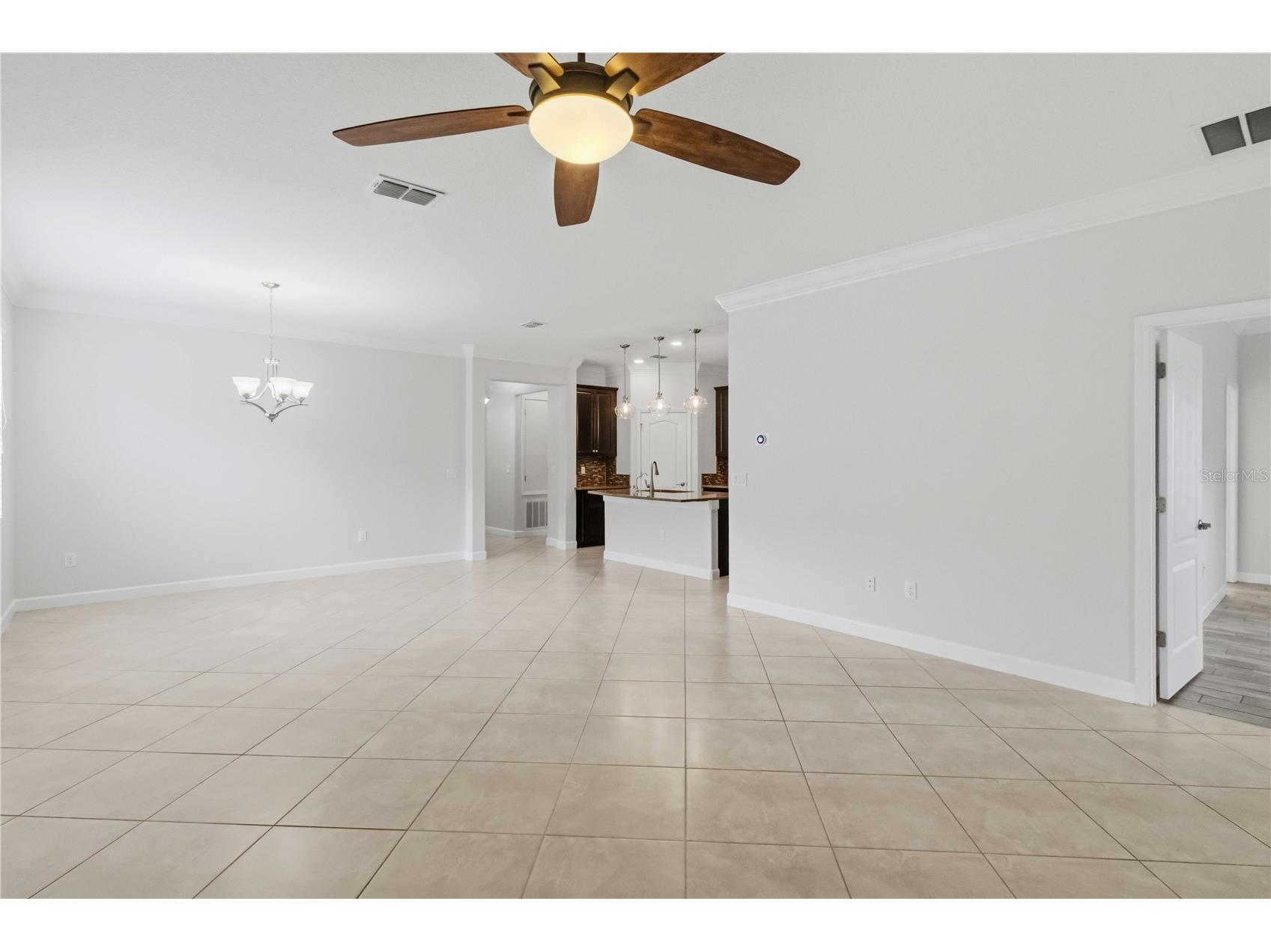 11833 Frost Aster Drive Riverview FL 33579 A4695412 image11