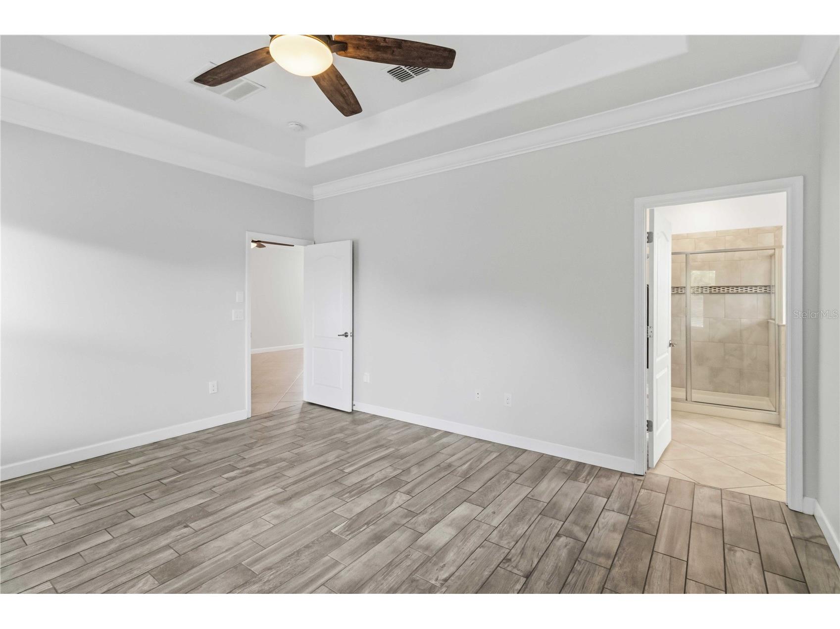 11833 Frost Aster Drive Riverview FL 33579 A4695412 image22